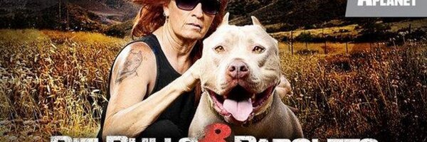 PitsNParolees_ Profile Banner