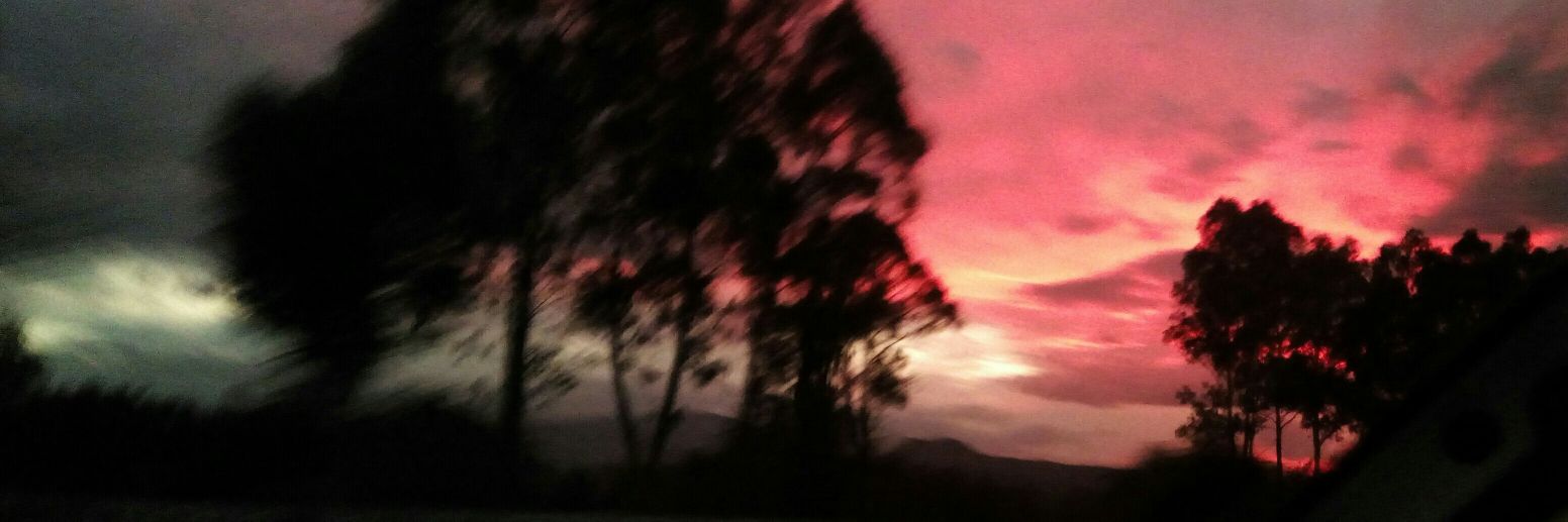 kitty_Fresandia's profile banner image