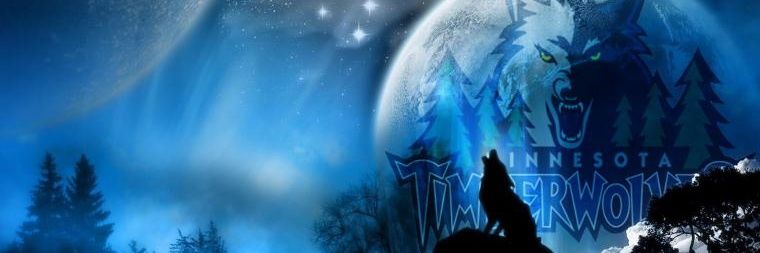 Hopeless Wolves Fan banner