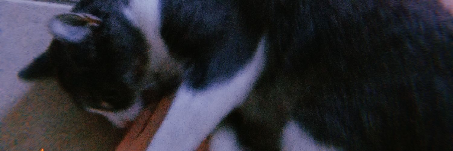 metricforbees's profile banner image