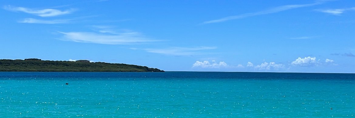 しおねる's banner