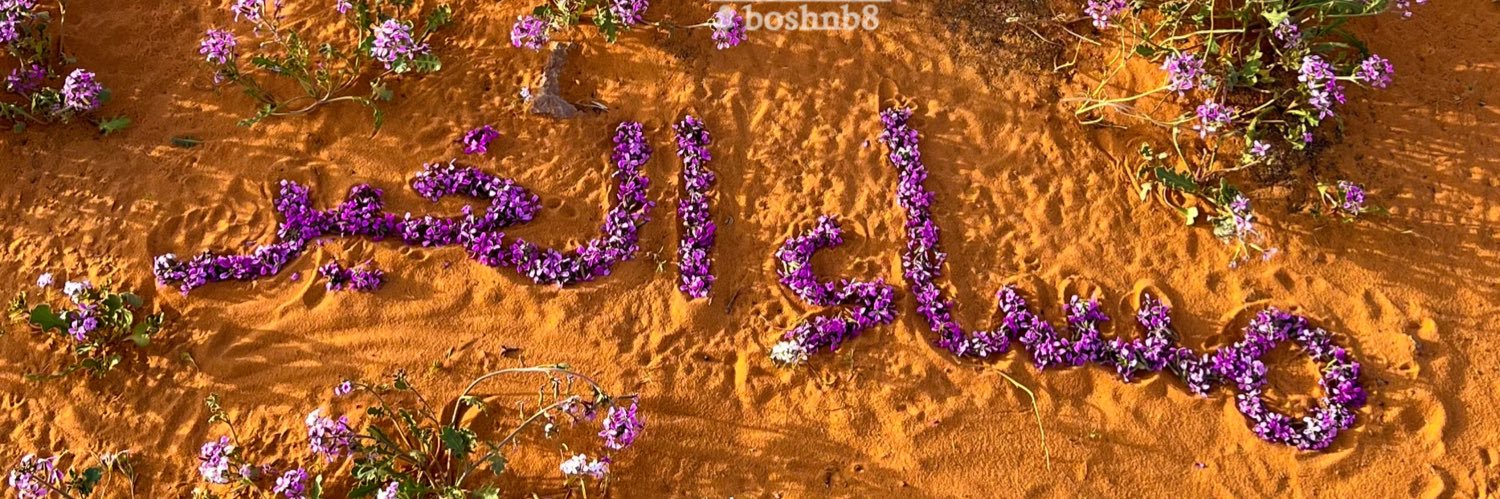 boshnb80's profile banner image
