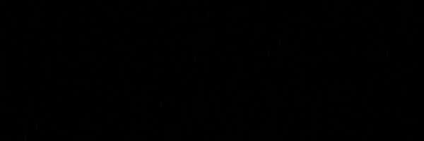 trarags_ Profile Banner