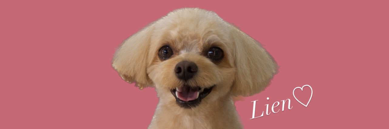 minako_0328's profile banner image