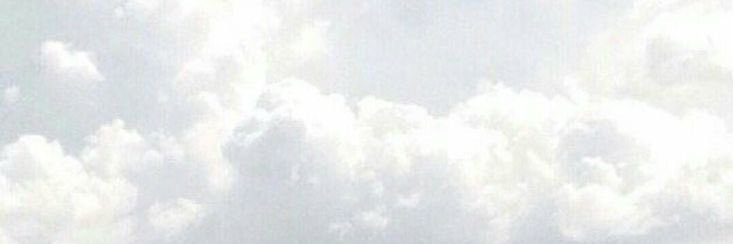 SHI banner