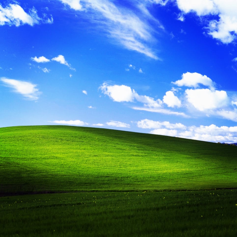 timmyfricker's profile banner image
