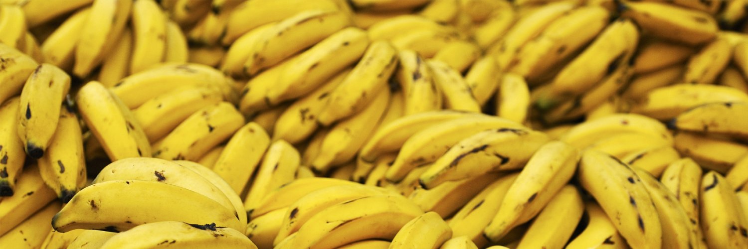 LocoBananer's profile banner image