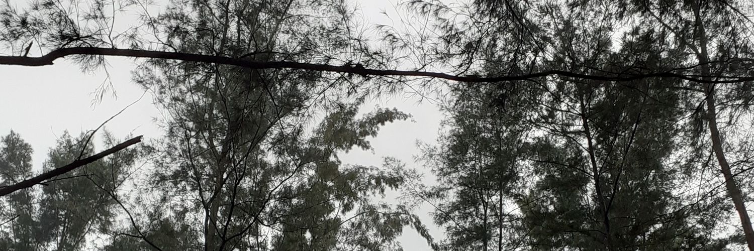 alsavazeea's profile banner image