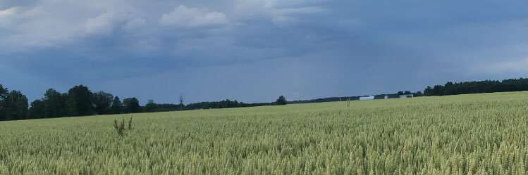 samibackus's profile banner image