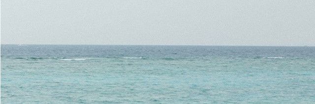 ไม่ฟอลกลับขออัลฟอลนะคะ banner
