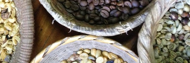 Open Modeling Group banner