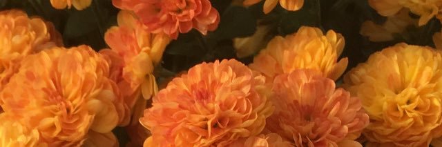 Madisonj026's profile banner image