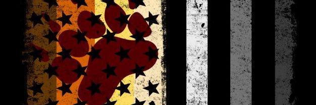 PandaDumpling87's profile banner image