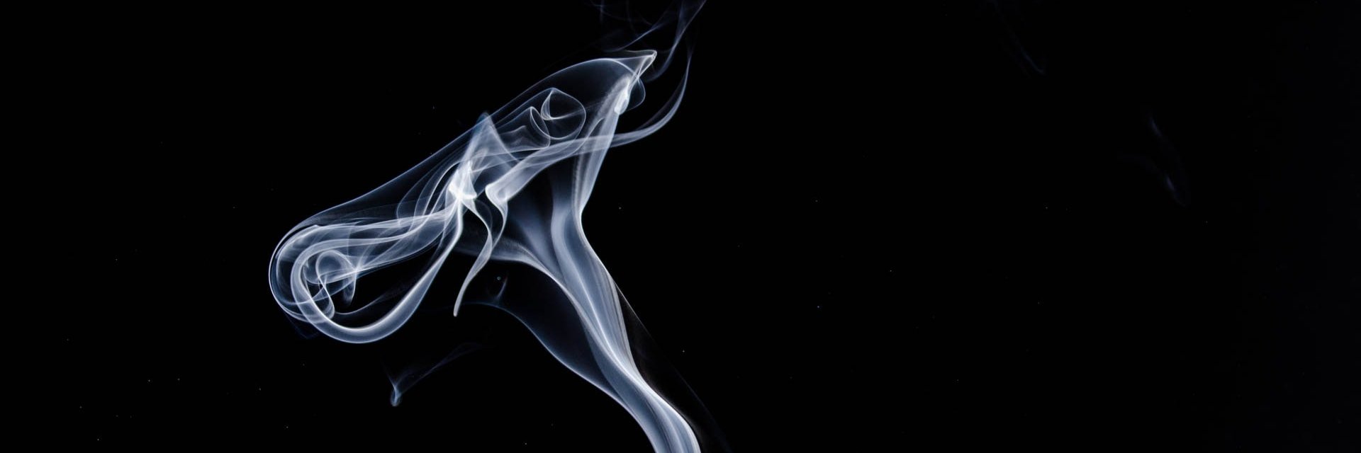 karlacaur's profile banner image