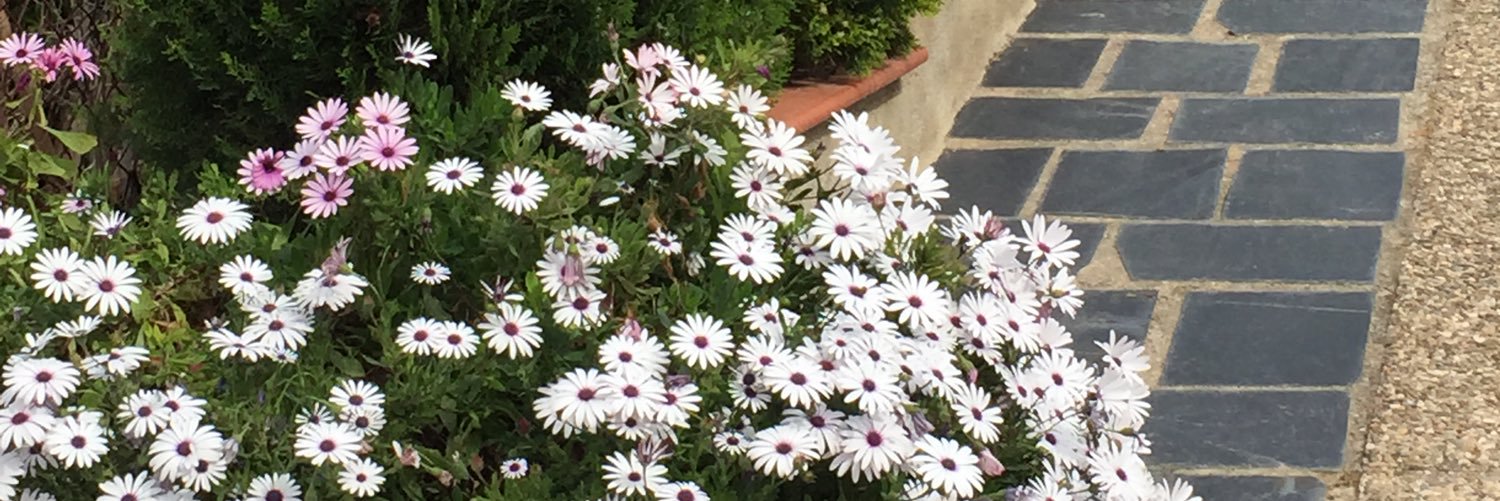 bells_69's profile banner image