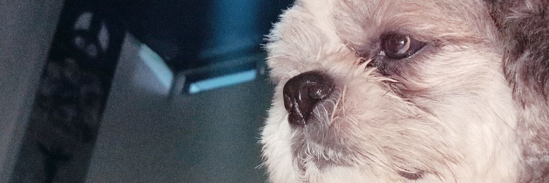 leaaaaamayyyyy's profile banner image