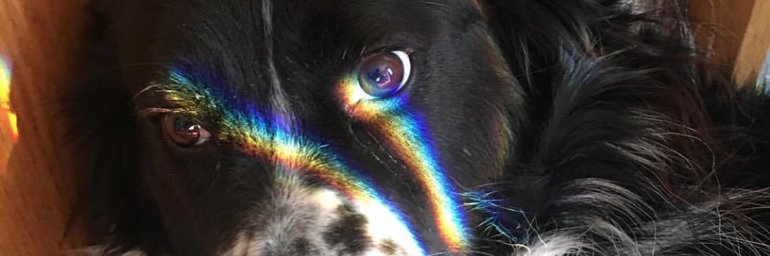 ColtonK2000's profile banner image