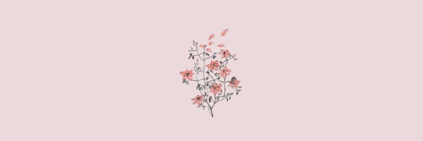 chelsrosem's profile banner image