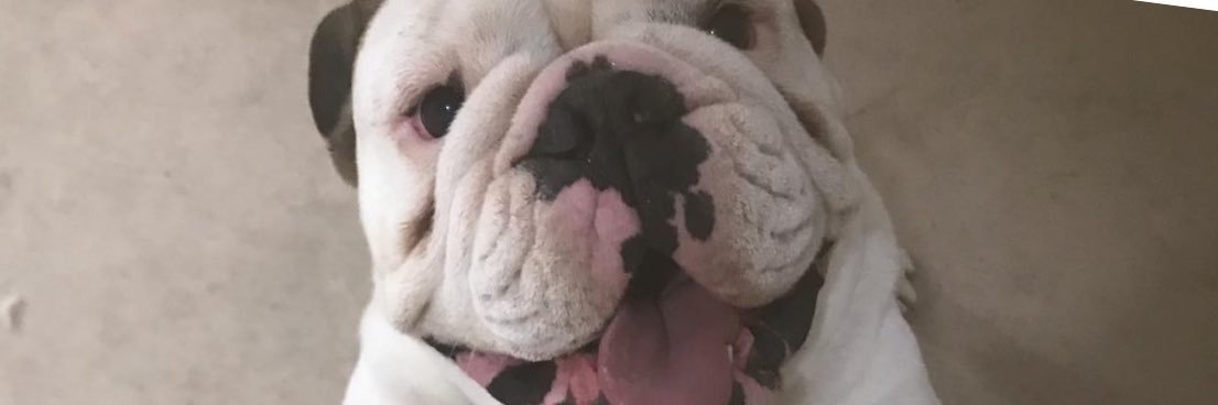 bitle0's profile banner image
