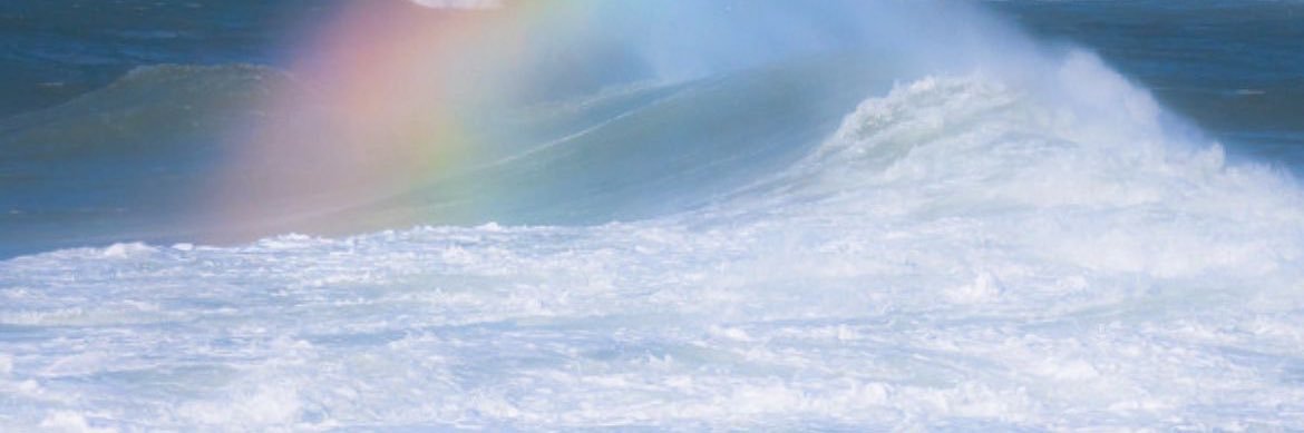 ellie's banner