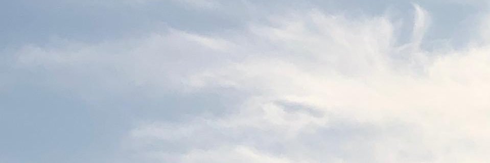rawadzaki's profile banner image