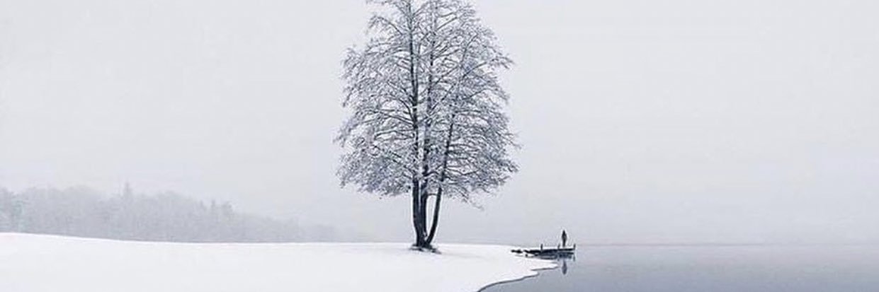 littleforest312's profile banner image
