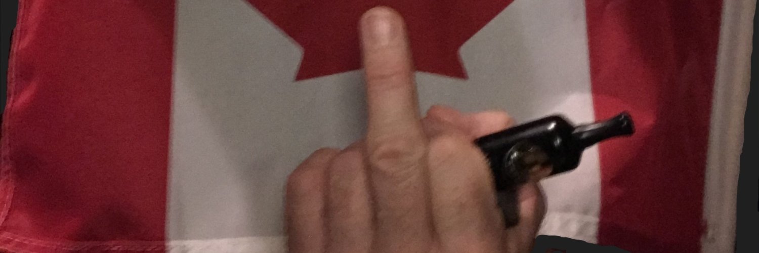 Shanedogwinnipeg banner