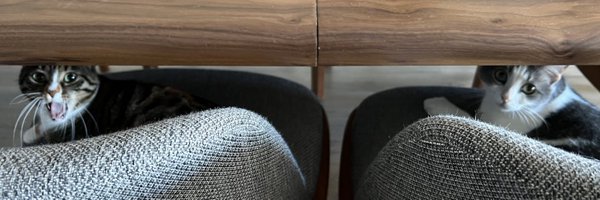 zeynepllerce Profile Banner