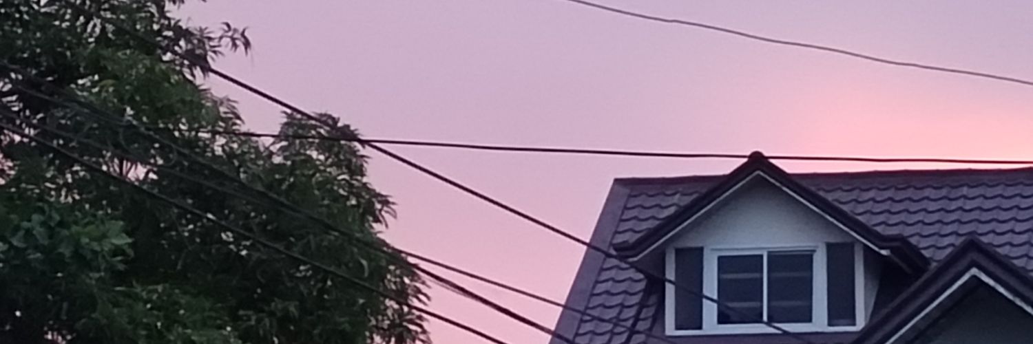 olaplapan's profile banner image