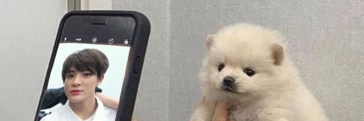 - banner
