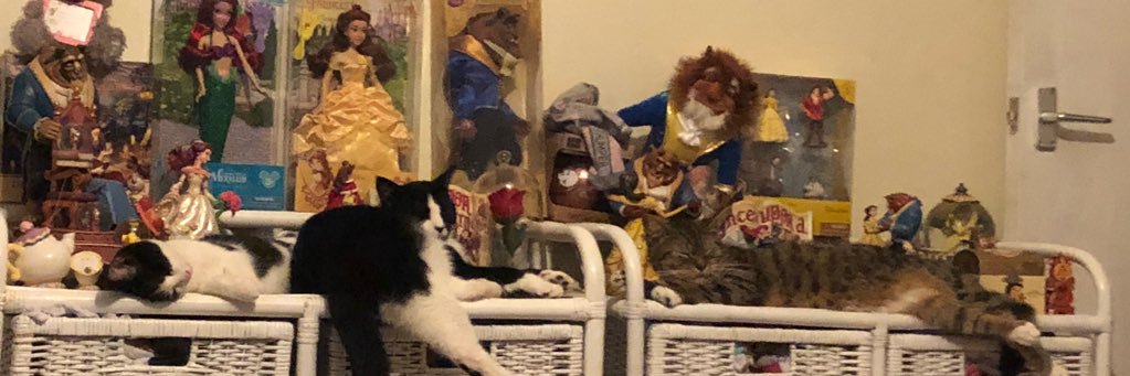 kelsdisney17's profile banner image