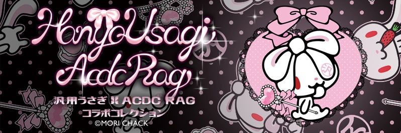 ACDC RAG 公式 banner
