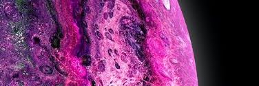 SOrtmeni's profile banner image
