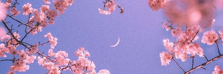 healin__'s profile banner image