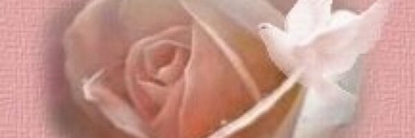 baduffey Profile Banner