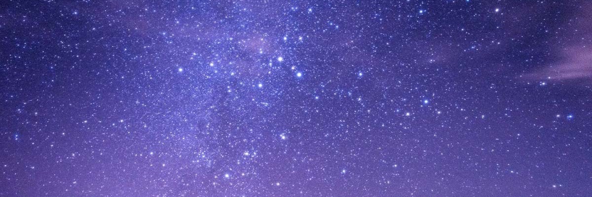 🐸かえるくん banner