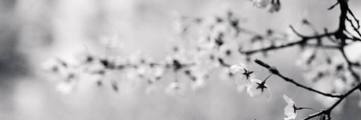 Grace banner