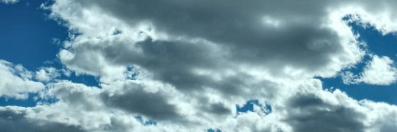Sofi_Bustos8's profile banner image