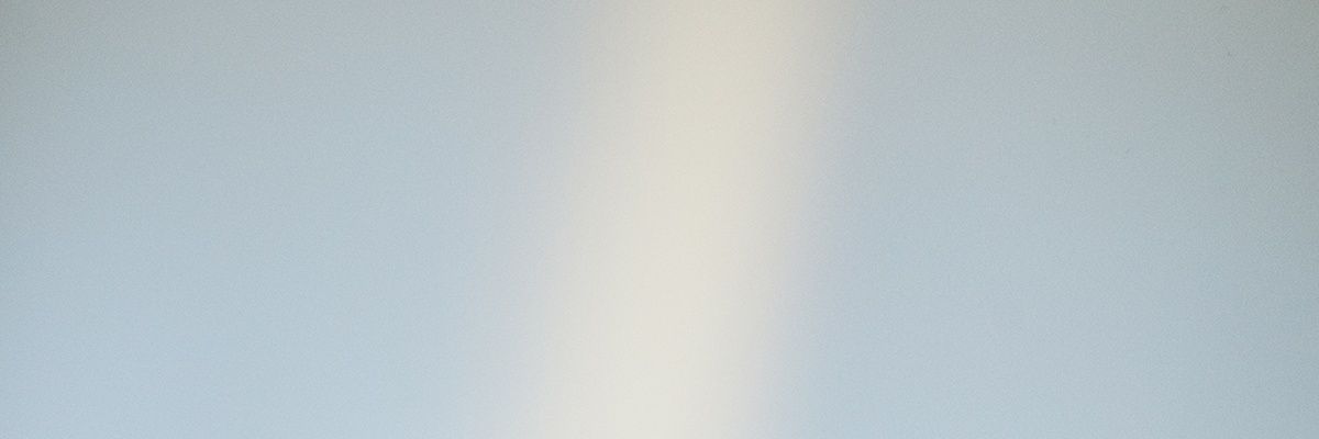 bookwuji's profile banner image