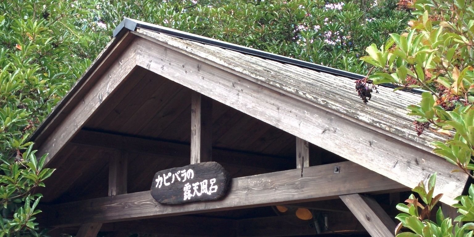 ミシャチュKate banner