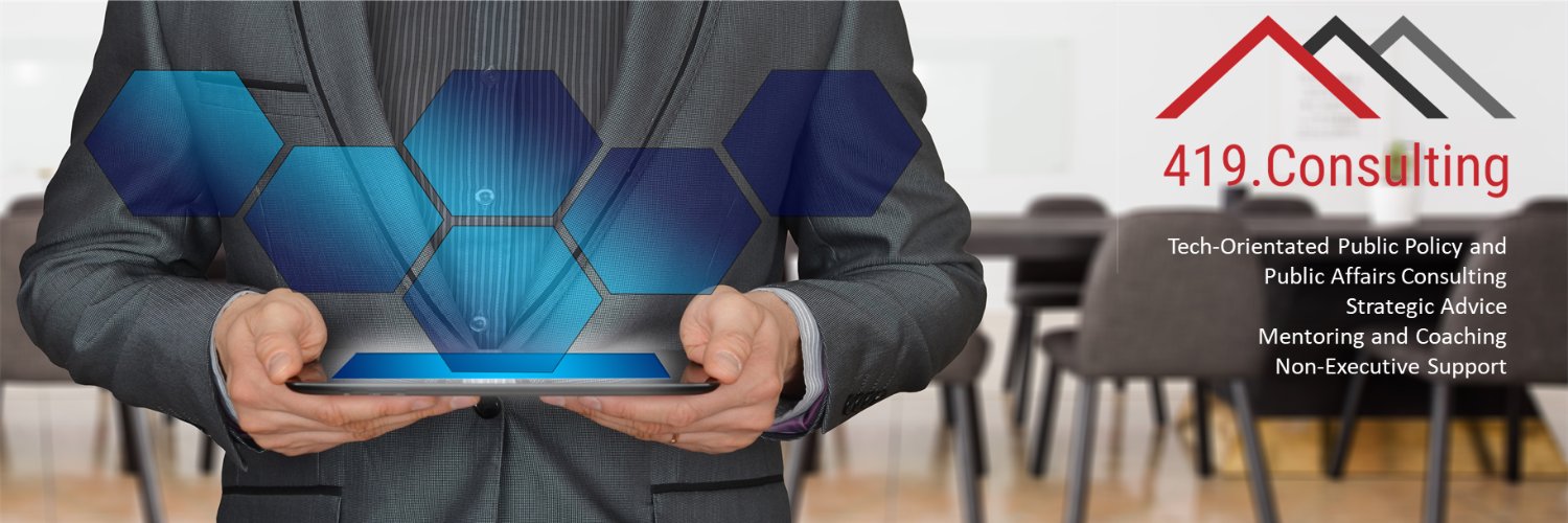 419 Consulting banner