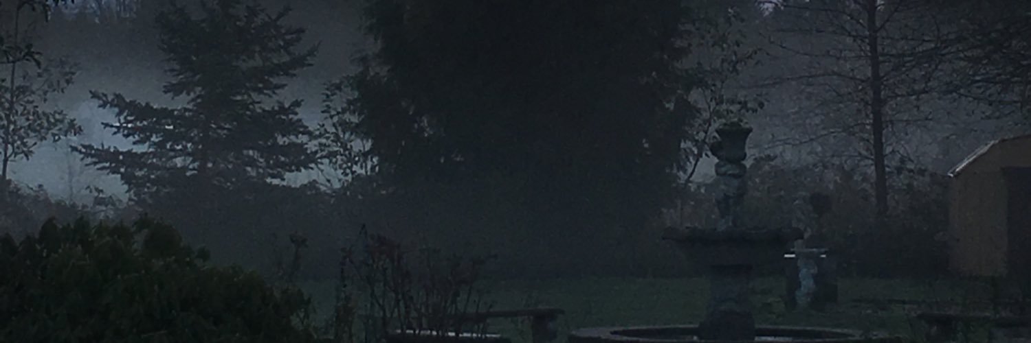 jaybug1122's profile banner image