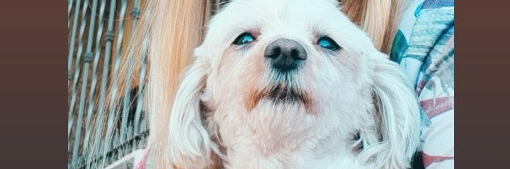 Micaela banner
