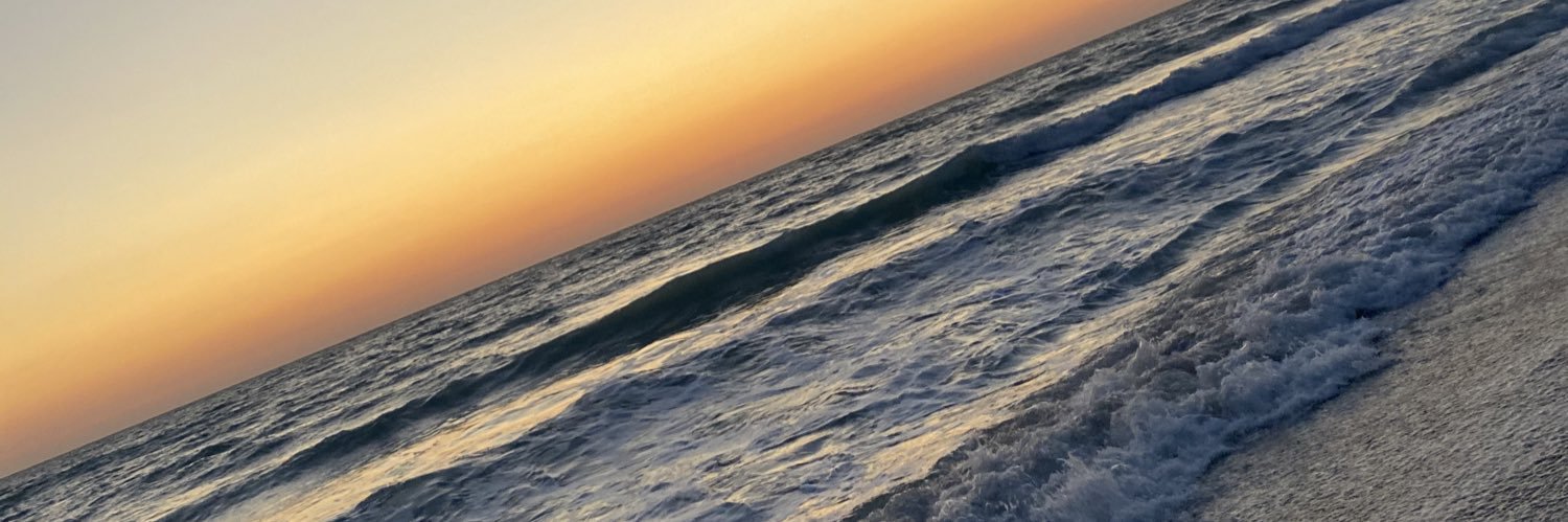 Liv Westphal banner
