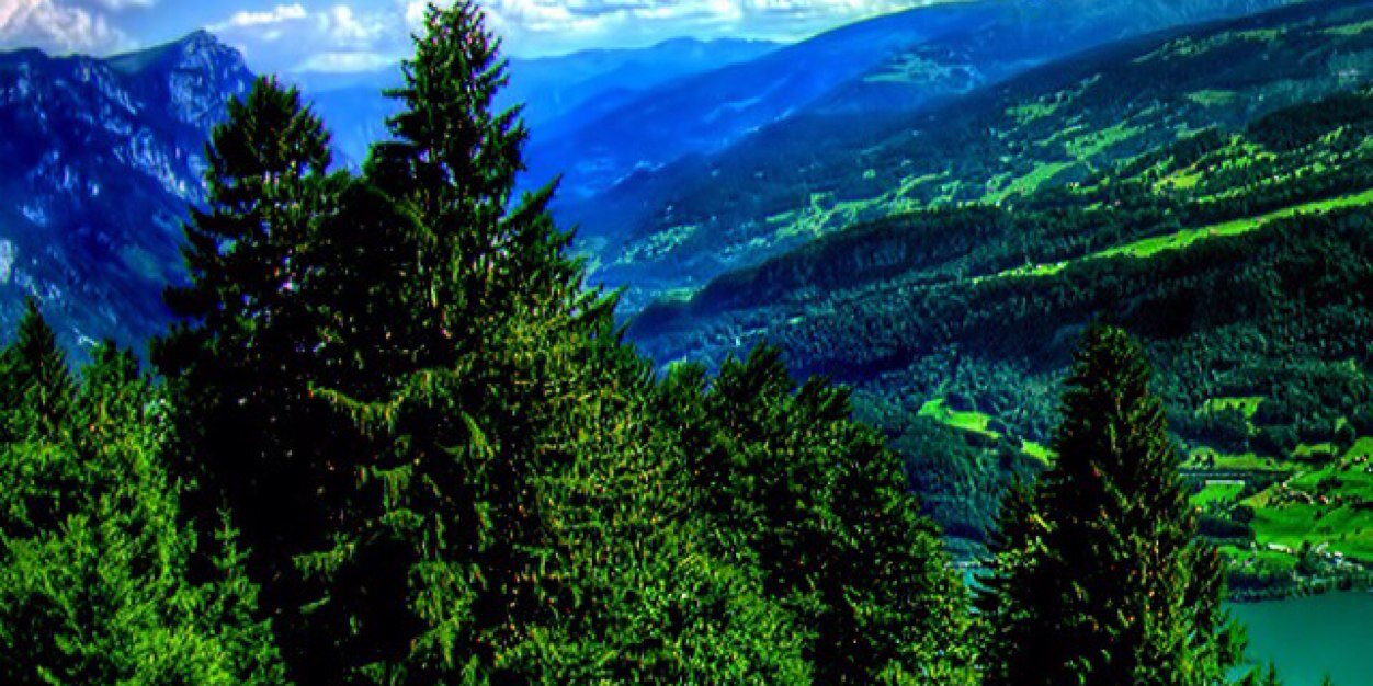 sary1384's profile banner image