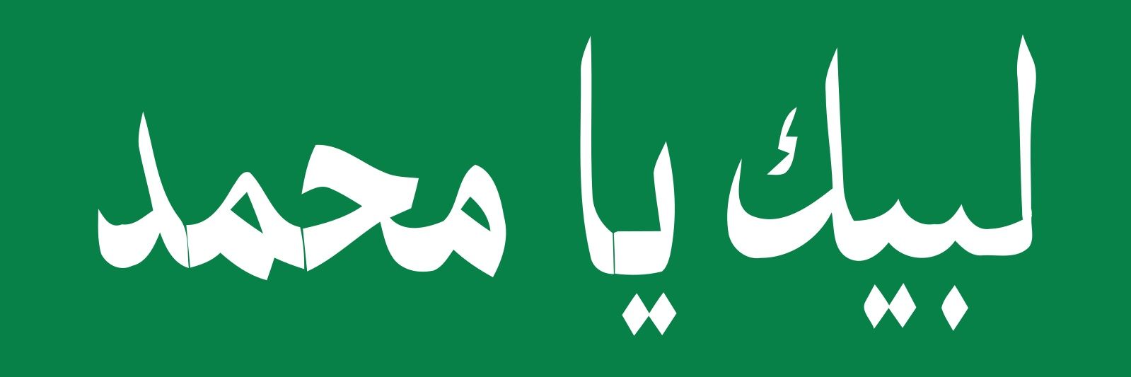 مُصطفى الفاطمِي banner