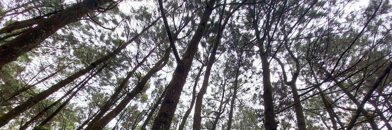 sekopsayur's profile banner image