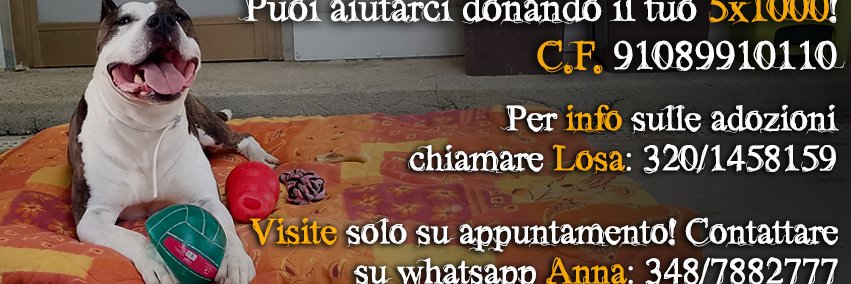 IMPRONTA VOLONTARI INDIPENDENTI CANILE's banner