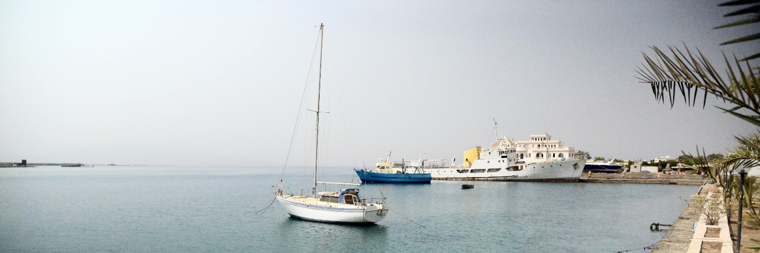 Berhane Araia banner