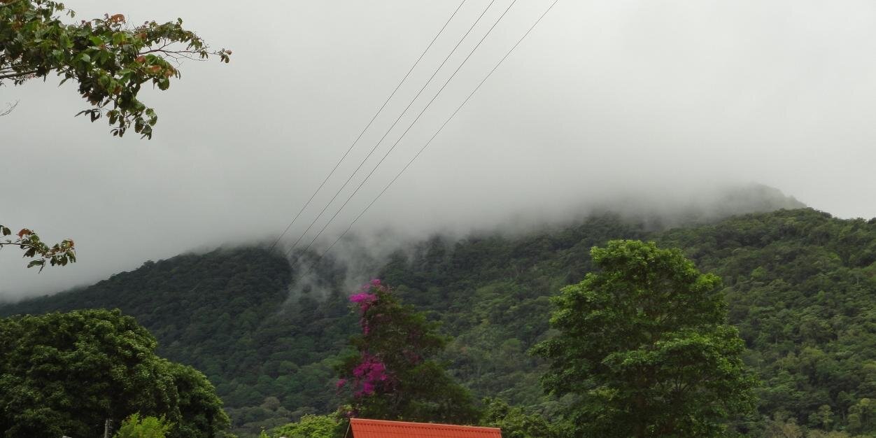 TuRepuestoIVECO's profile banner image